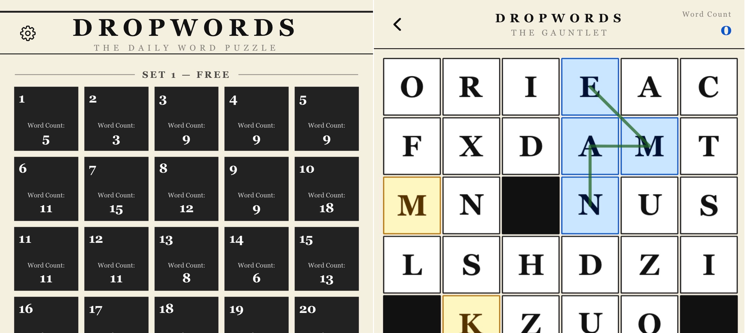 DropWords game screenshot